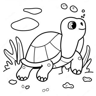 Kawaiichi Chiyanumigamenotu Rihui Pe Zi 101292-39800