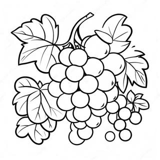 Budounofang Tu Rihui 107795-44879