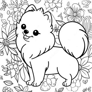 Pomeraniannotu Rihui 118573-53722