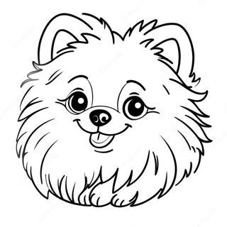 Pomeraniannotu Rihui 118573-53724