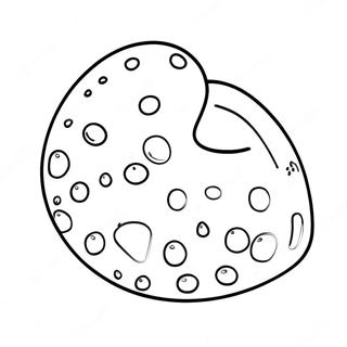 Karahurunagamudorotsupukiyandeinotu Rihui 135008 66947