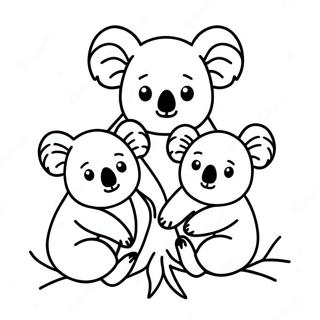 Koaranojia Zu Xiao Xiang Tu Rihui 21500-4694