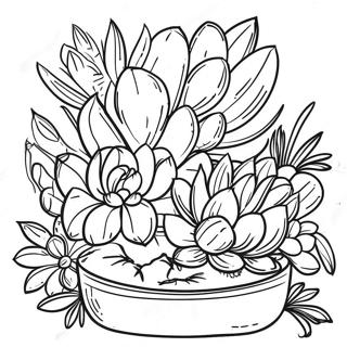 Riarunaduo Rou Zhi Wu Noarenzimentonotu Rihui 32375 7062