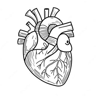 Riarunaxin Zang Nojie Pou Xue Notu Rihui 76808-19599