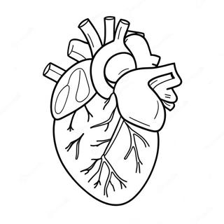 Man Hua Feng Noxin Zang Nojie Pou Xue Notu Rihui 76809-19604