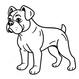 Akushiyonzhong Nobokusa Quan Notu Rihui 89706-29886