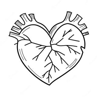 Nu Tsutahuai Retaxin Notu Rihui 90483-30485