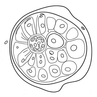 Zhi Wu Xi Bao Notu Jie Tu Rihui 92194-31881